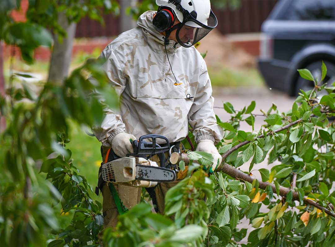 DO I NEED A LANDSCAPER OR TREE SERVICE?
