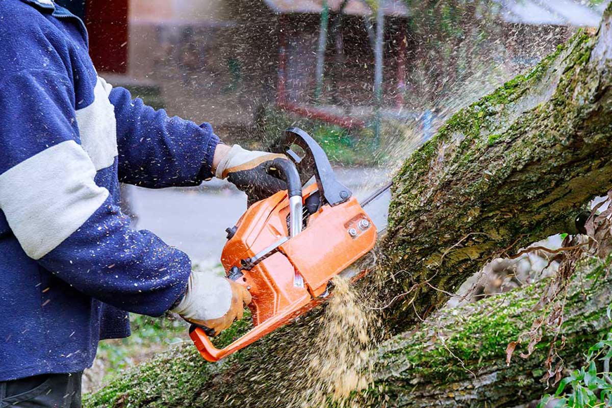 Commercial Services